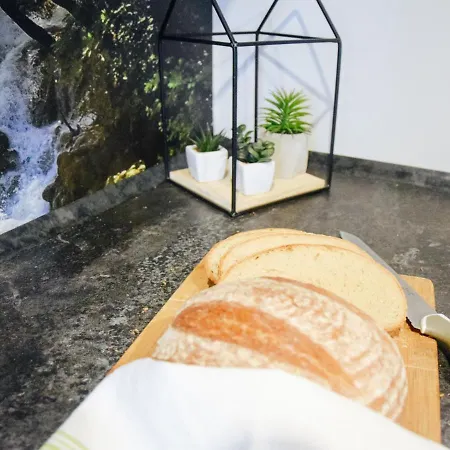 Bielik - Goscinne Отель типа 